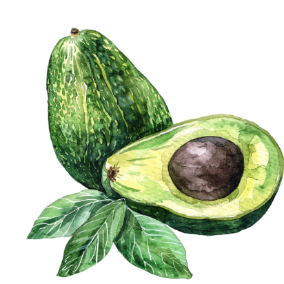 アボカドの栽培・販売