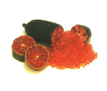 栽培中のフィンガーライム　バイロンサンライズ