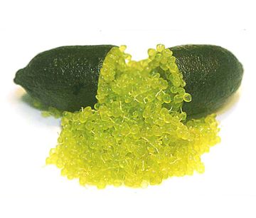 栽培中のフィンガーライム　コレット